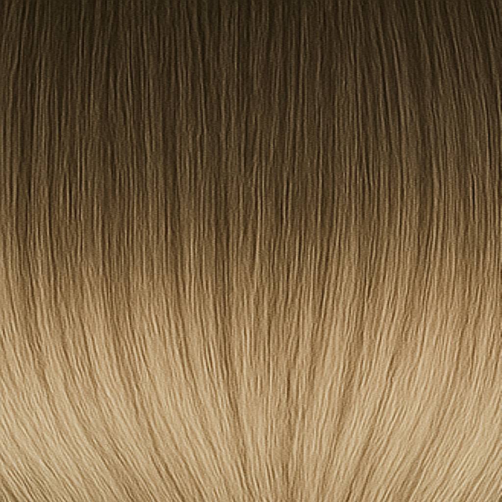 8A/10NV Ash Mix Balayage
