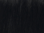 Poze Premium Hair Weft - 110g 1N Midnight Black - 40cm